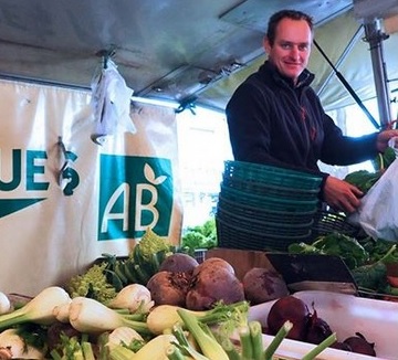 Production de légumes locaux