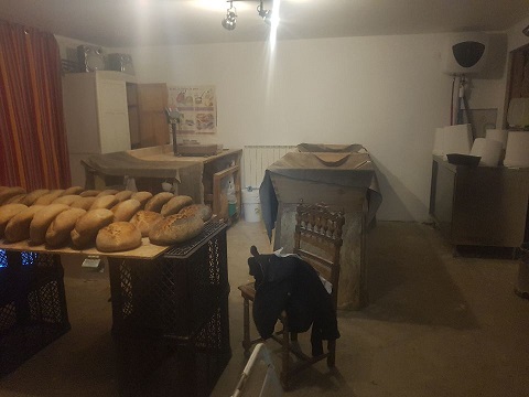 Pains sortis du four